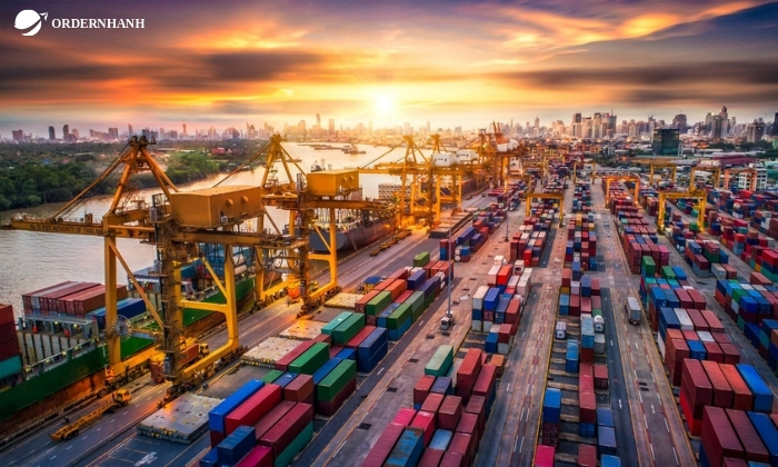 Cách phân loại các công ty Logistics hàng đầu hiện nay