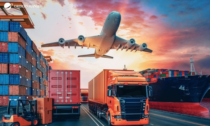 Chức năng và nhiệm vụ chính của các công ty Logistics ở Việt Nam