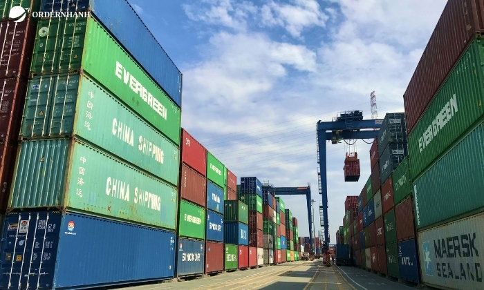 Vinaship là lựa chọn được nhiều khách hàng đánh giá cao